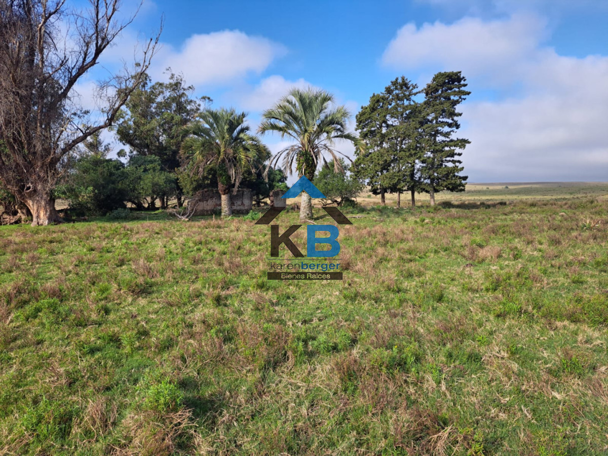 Campo Ref.634 - Venta campo José Ignacio 