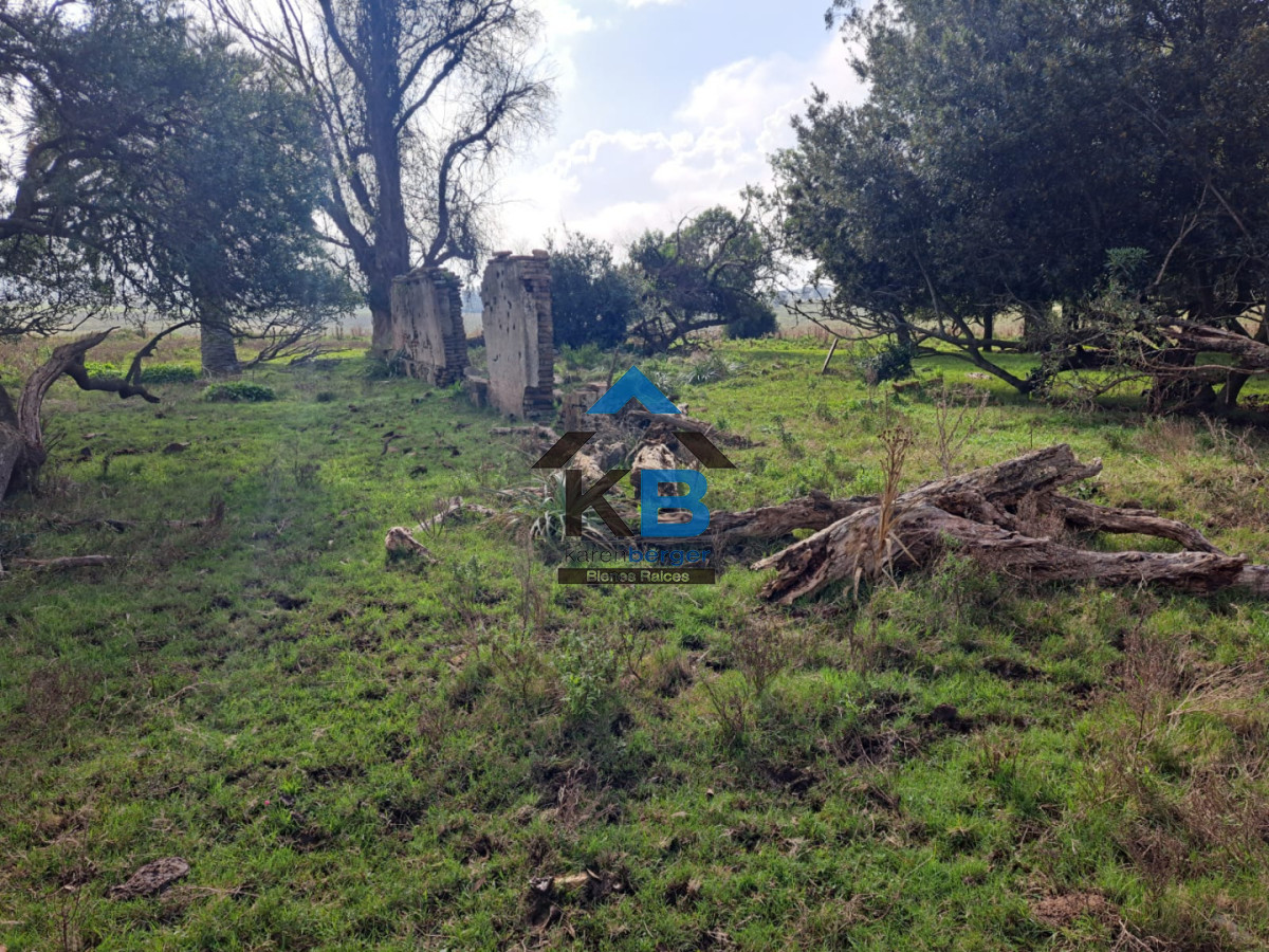 Campo Ref.634 - Venta campo José Ignacio 