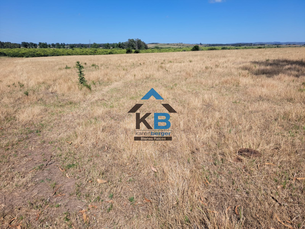 Campo Ref.620 - Venta de campo en Rocha