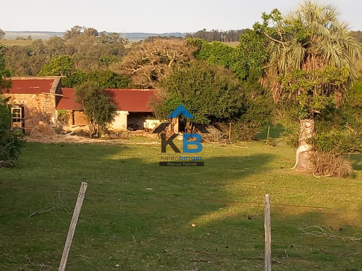 Campo Ref.586 - Campo en Castillos, 