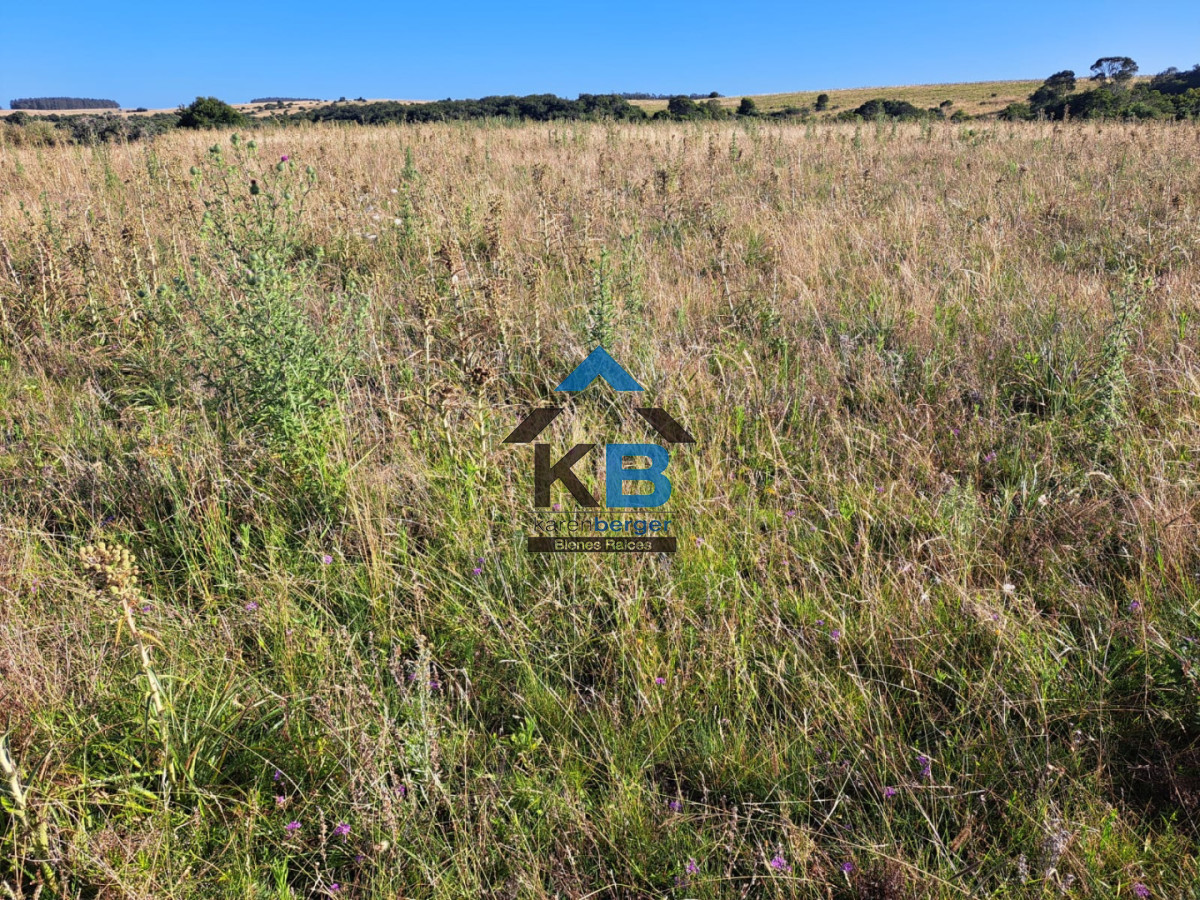 Campo Ref.625 - Campo José Ignacio 