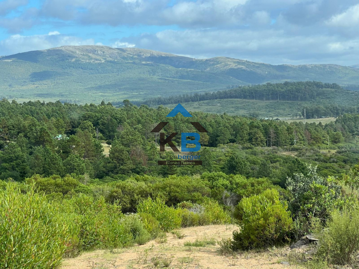 Campo Ref.649 - Campo vistas oceanicas 