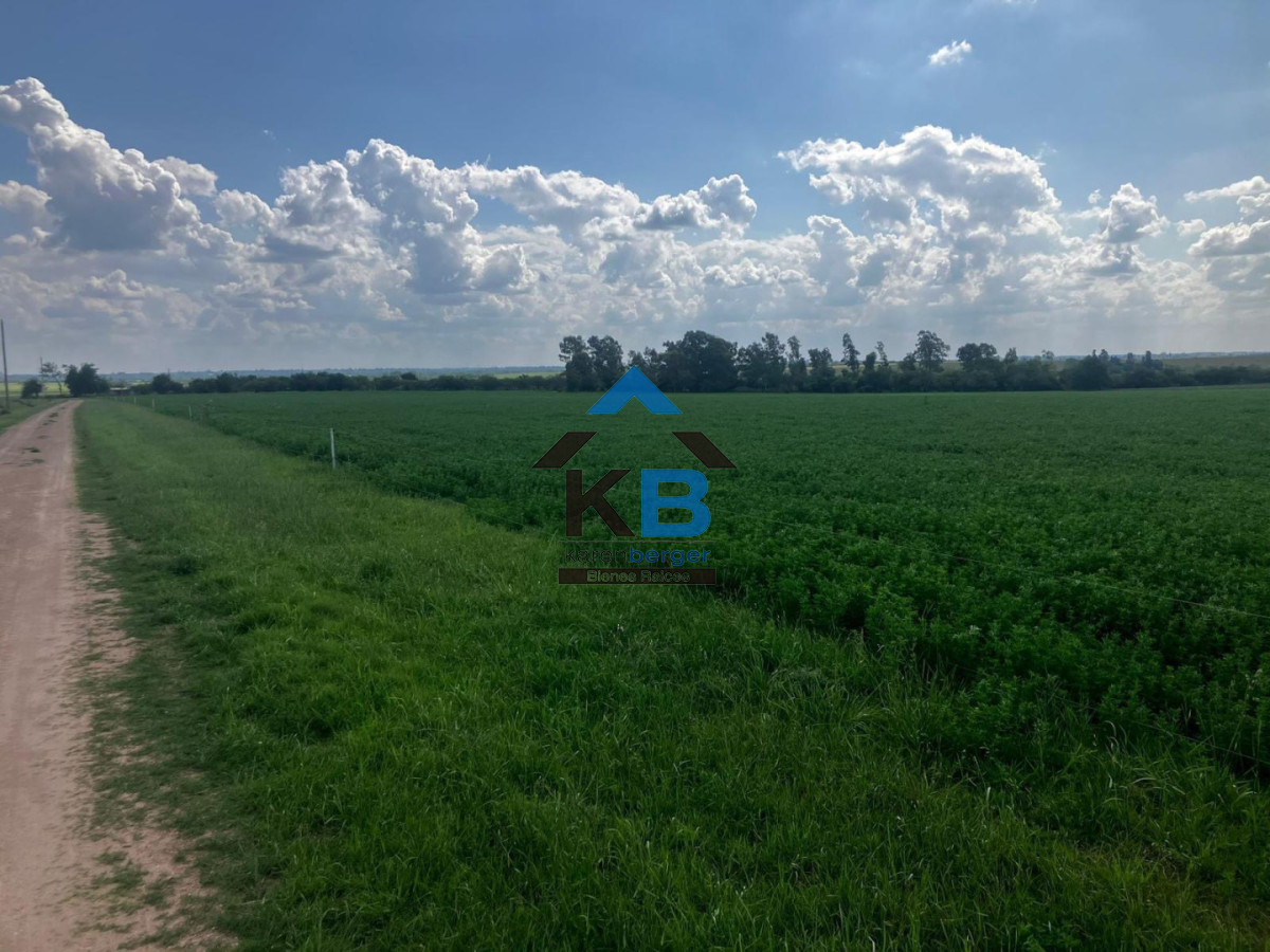 Campo Ref.684 - Campo en Paysandu Río Uruguay