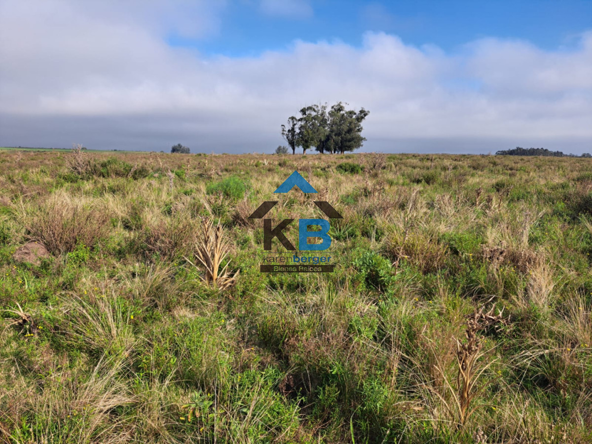 Campo Ref.634 - Venta campo José Ignacio 