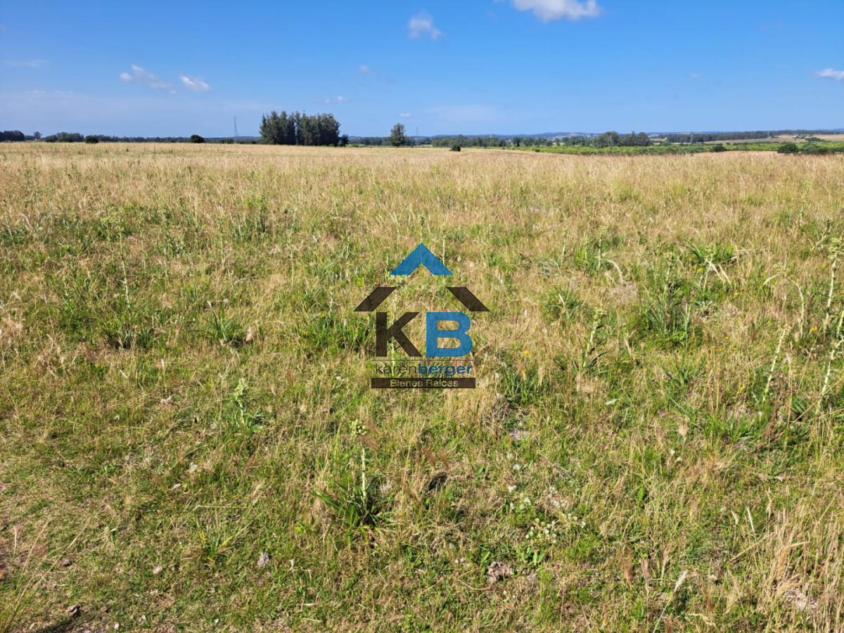 Campo Ref.620 - Venta de campo en Rocha
