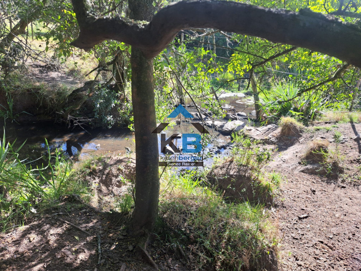 Campo Ref.625 - Campo José Ignacio 