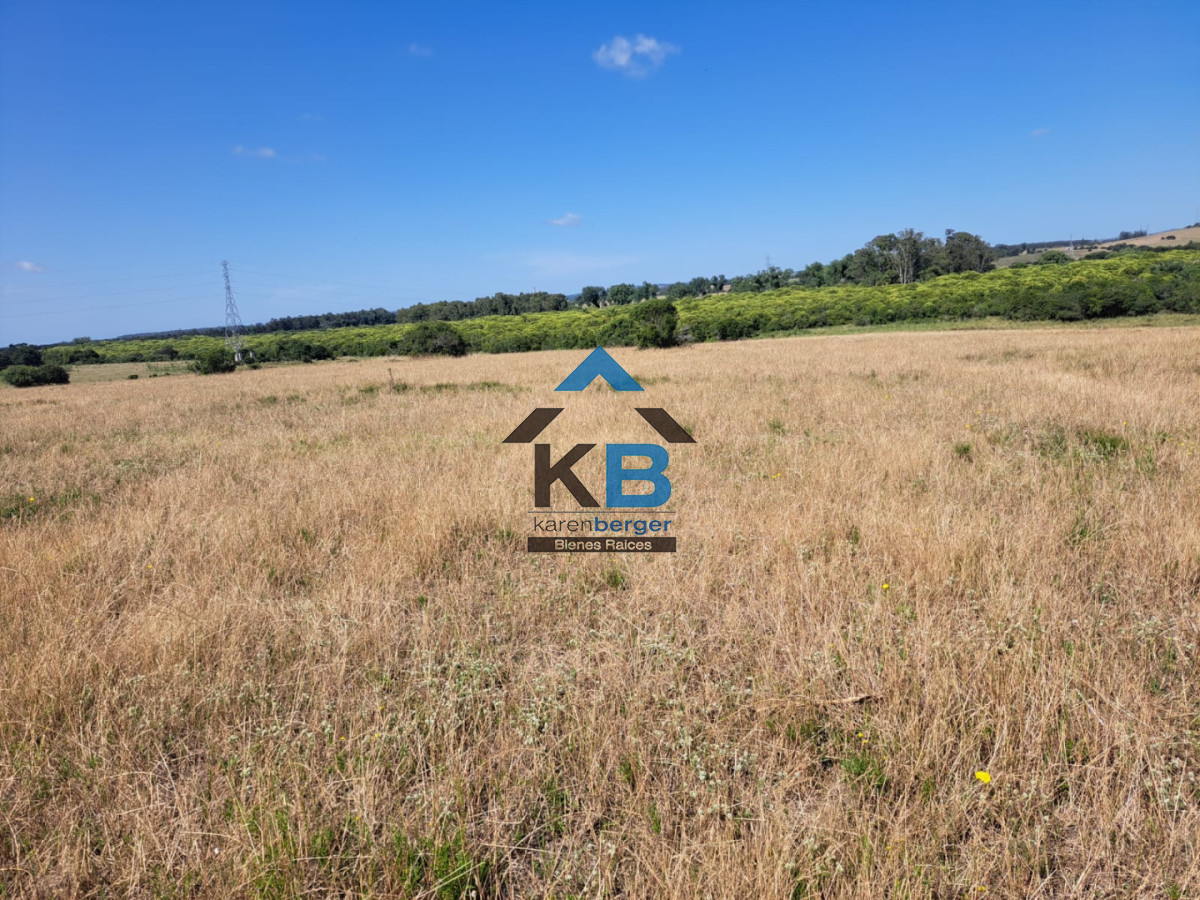 Campo Ref.620 - Venta de campo en Rocha