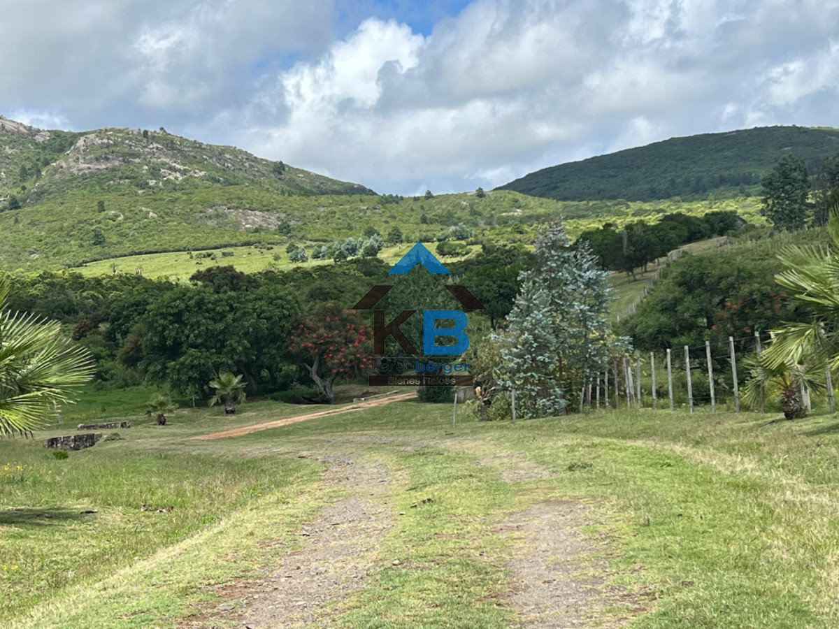 Campo Ref.649 - Campo vistas oceanicas 