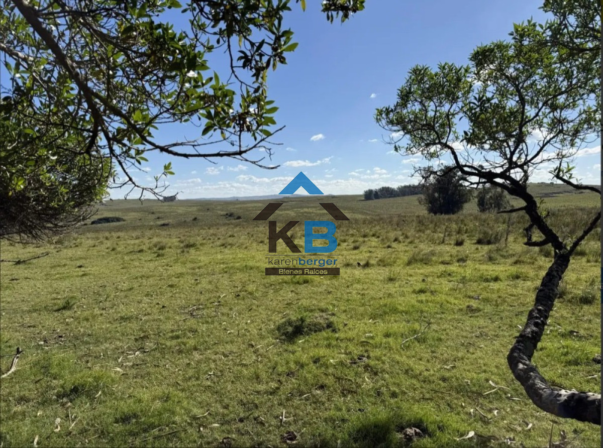 Campo Ref.677 - Venta campo José Ignacio 