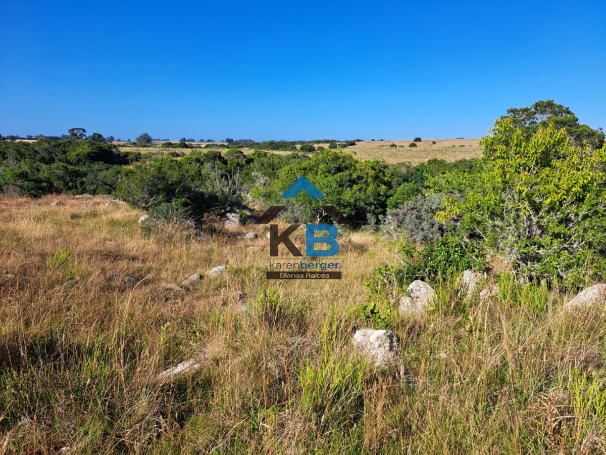 Campo Ref.625 - Campo José Ignacio 