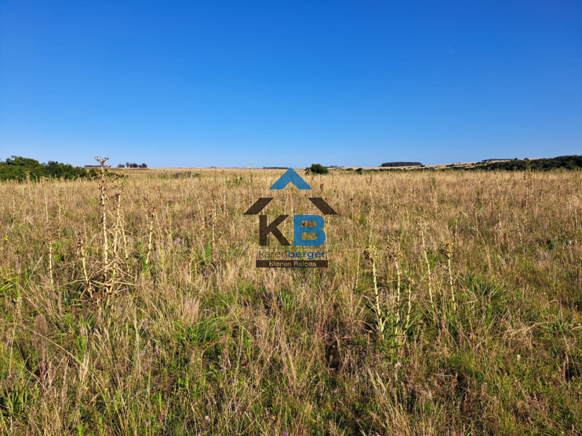 Campo Ref.625 - Campo José Ignacio 