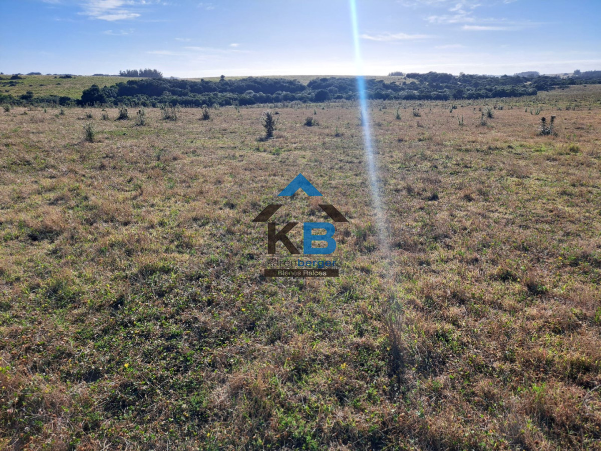 Campo Ref.625 - Campo José Ignacio 