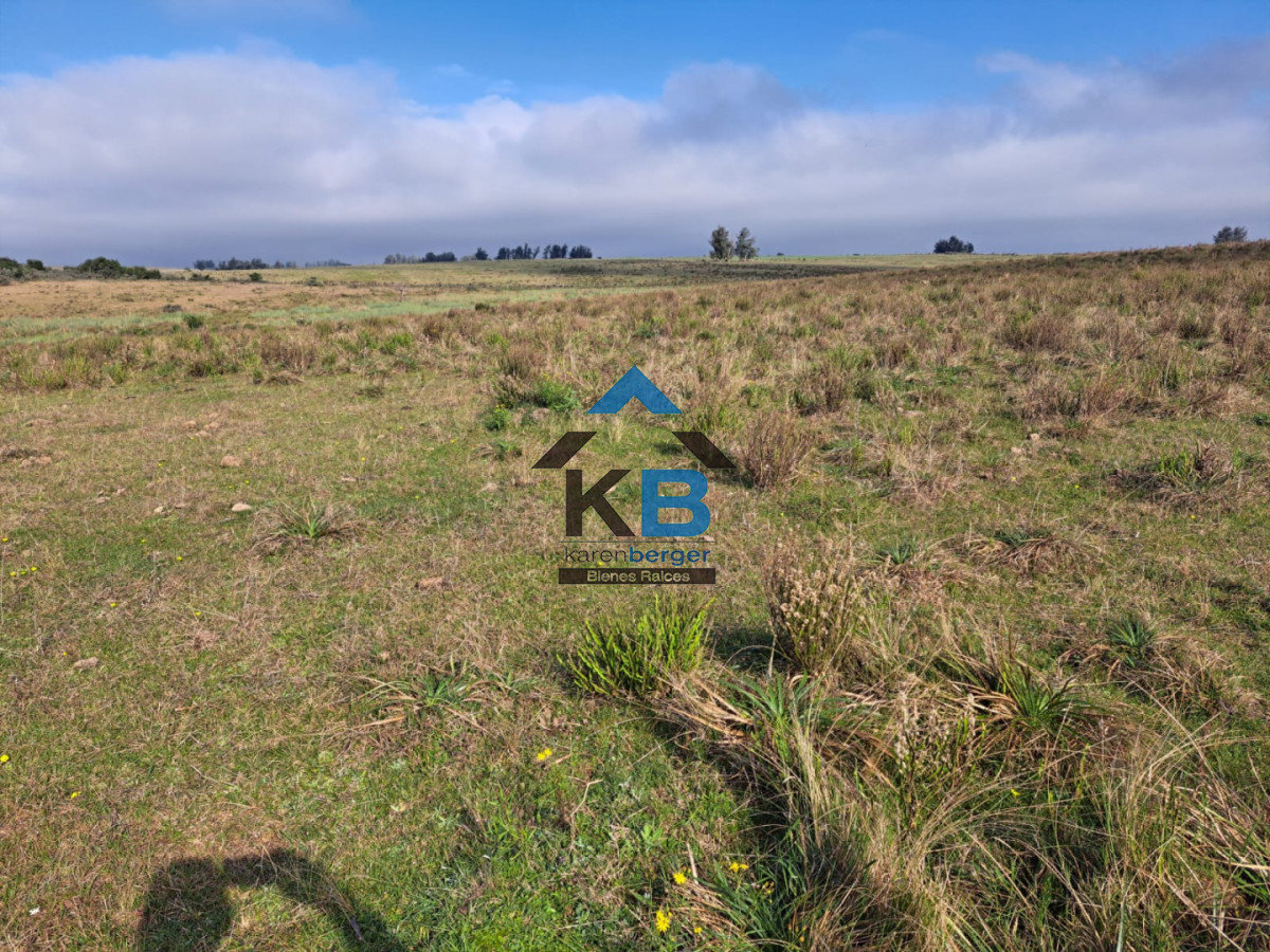 Campo Ref.634 - Venta campo José Ignacio 