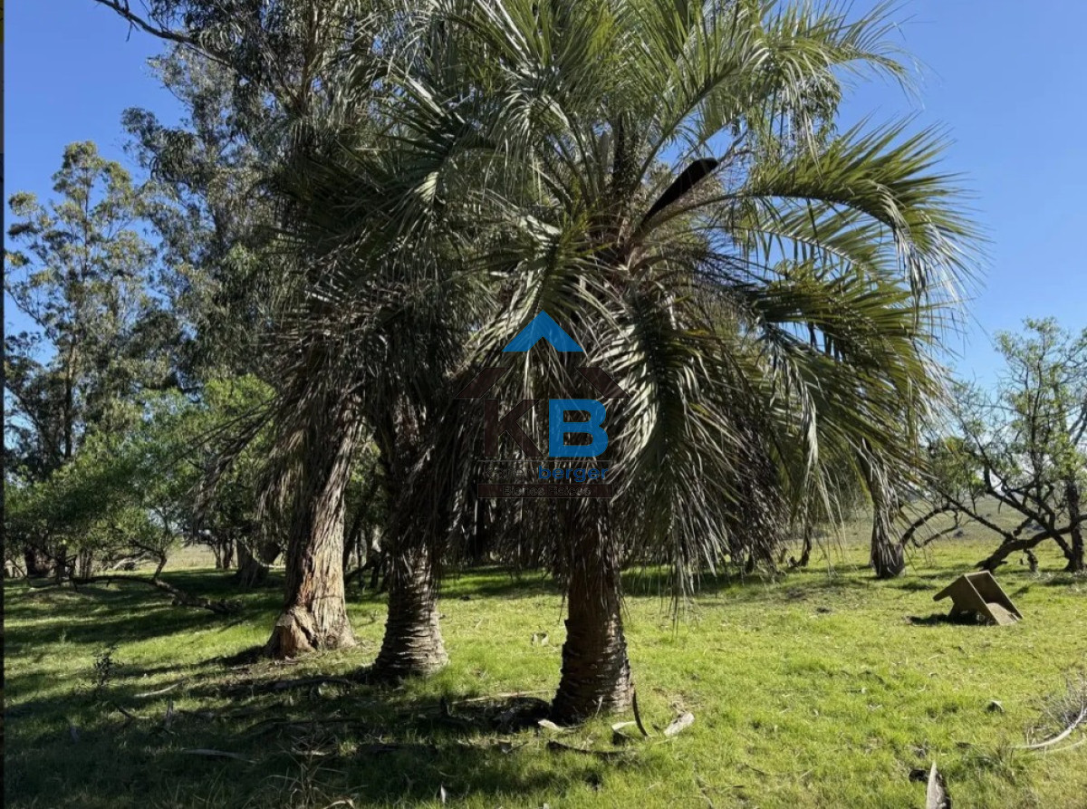 Campo Ref.677 - Venta campo José Ignacio 