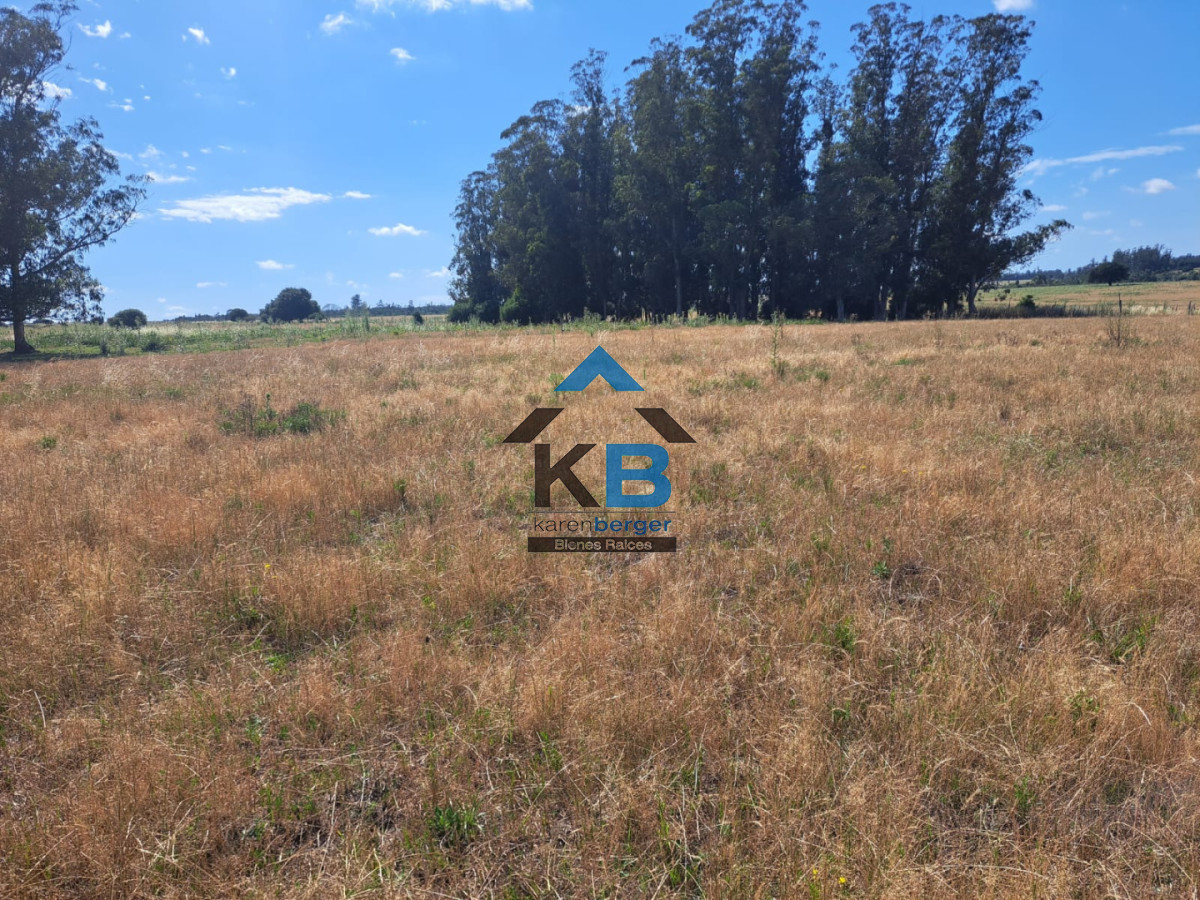 Campo Ref.620 - Venta de campo en Rocha