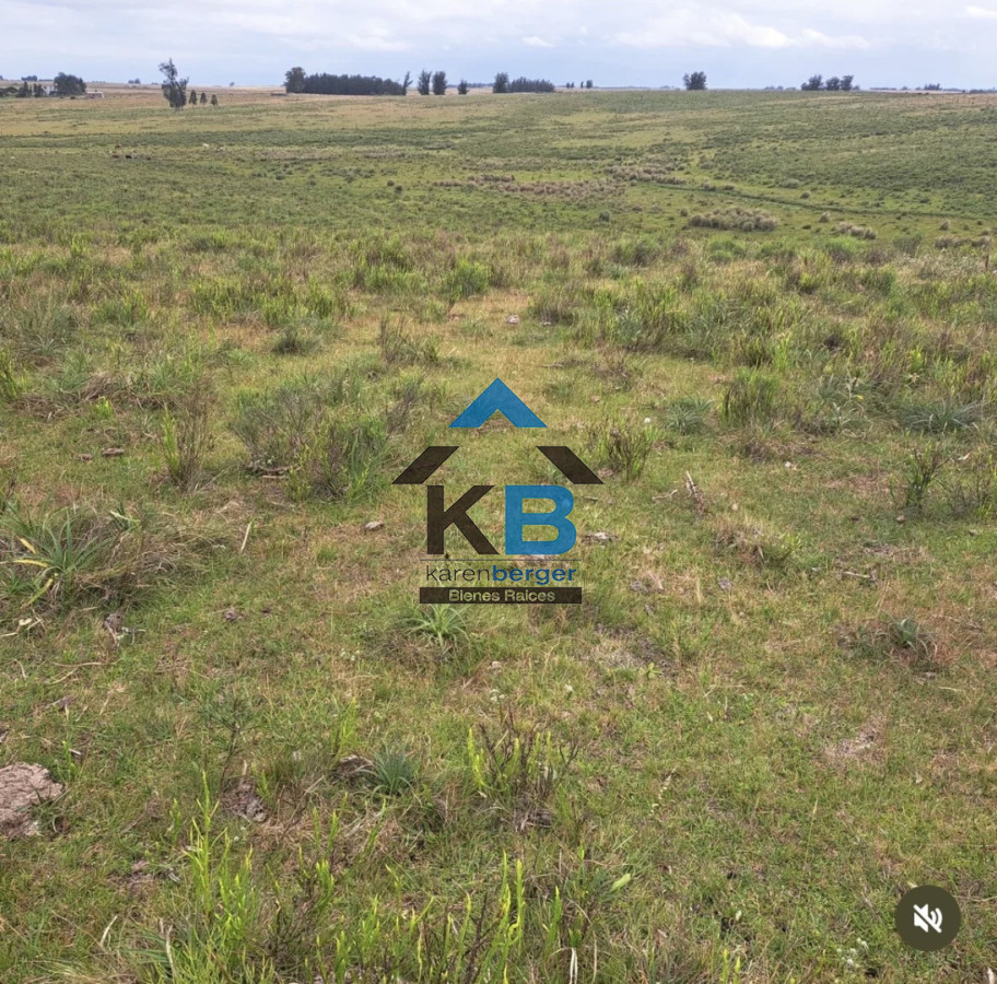 Campo Ref.628 - Vende campo 21 h José  Ignacio