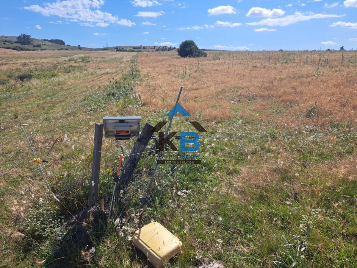 Campo Ref.620 - Venta de campo en Rocha