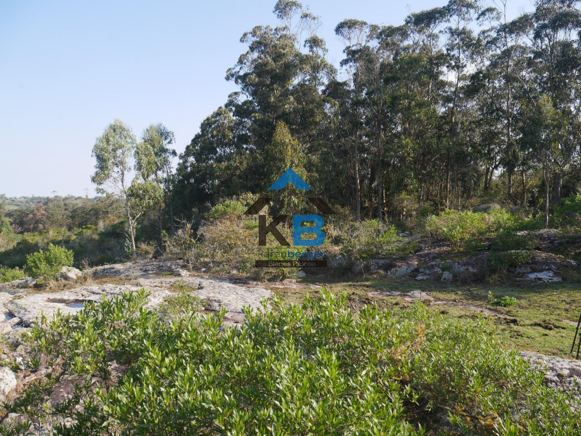 Campo Ref.586 - Campo en Castillos, 