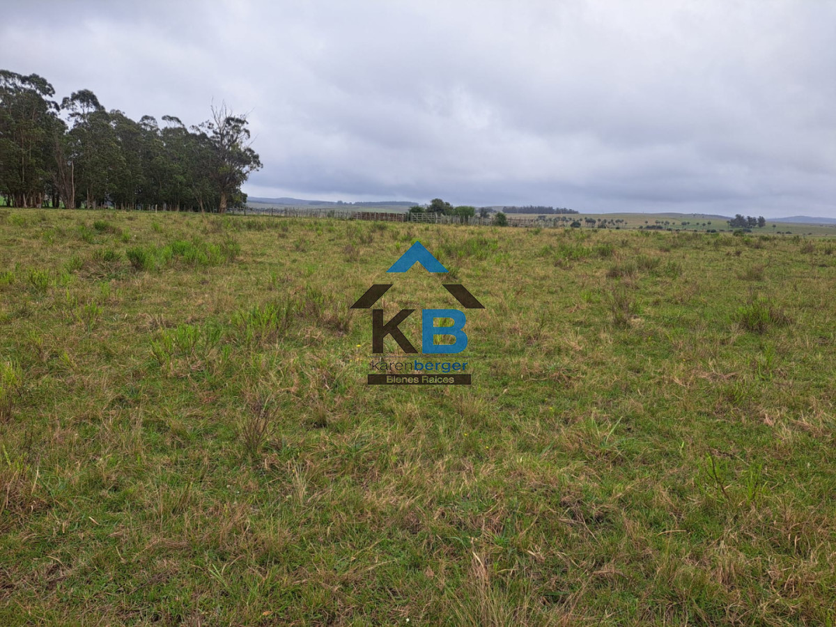 Campo Ref.623 - Campo agrícola ganadero 