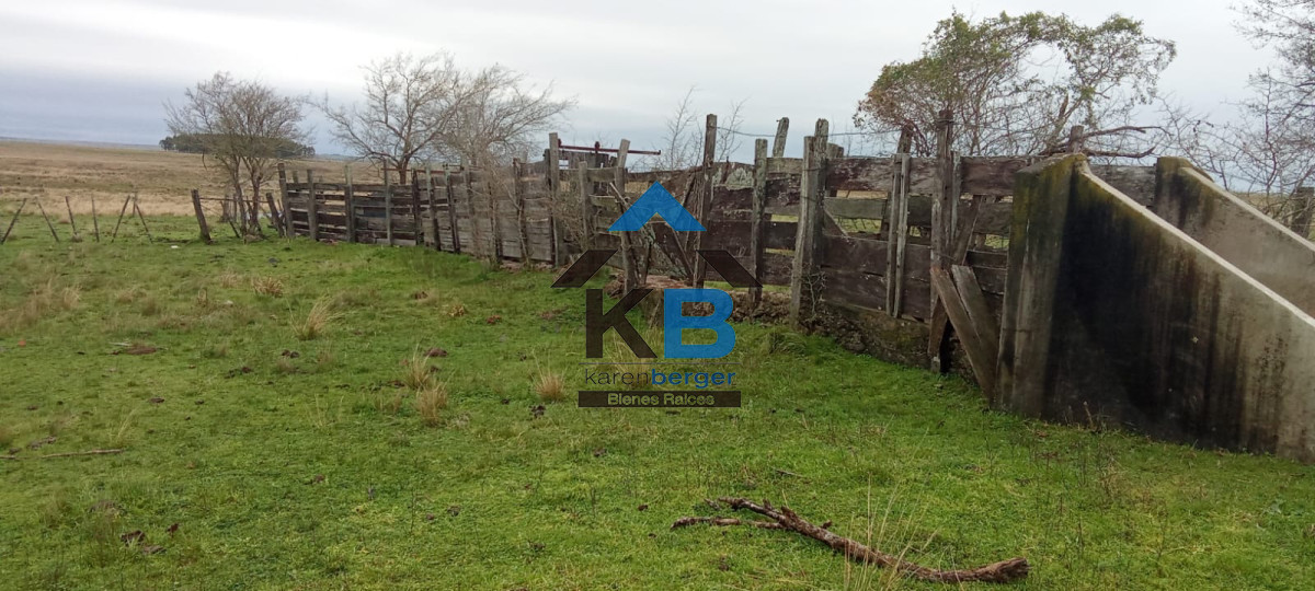 Campo Ref.580 - Venta de Campo en Paysandu 