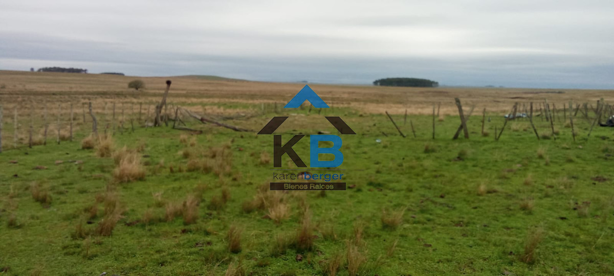 Campo Ref.580 - Venta de Campo en Paysandu 