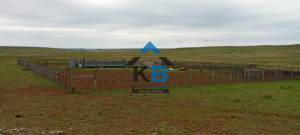 Campo Ref.580 - Venta de Campo en Paysandu 