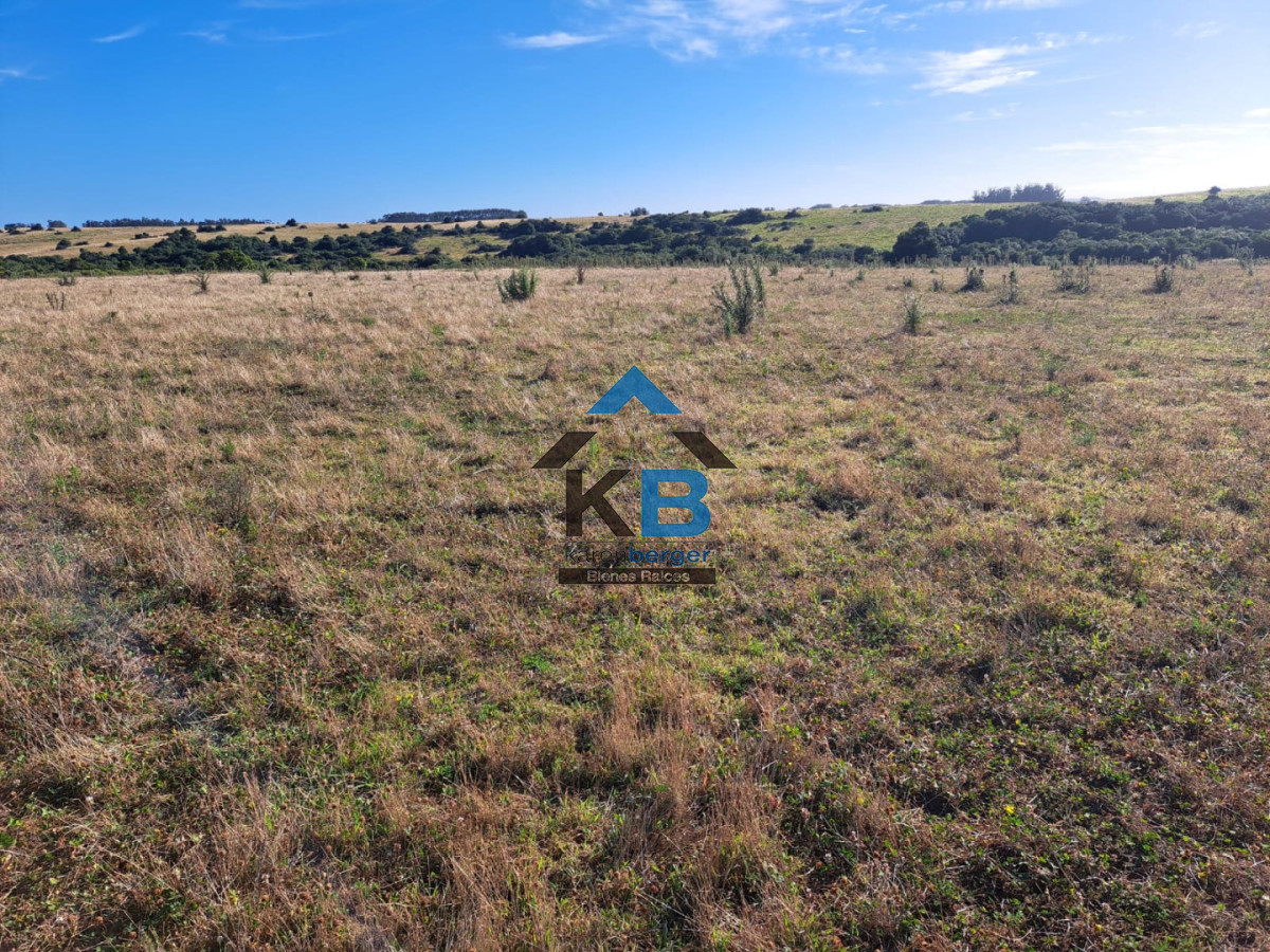 Campo Ref.625 - Campo José Ignacio 