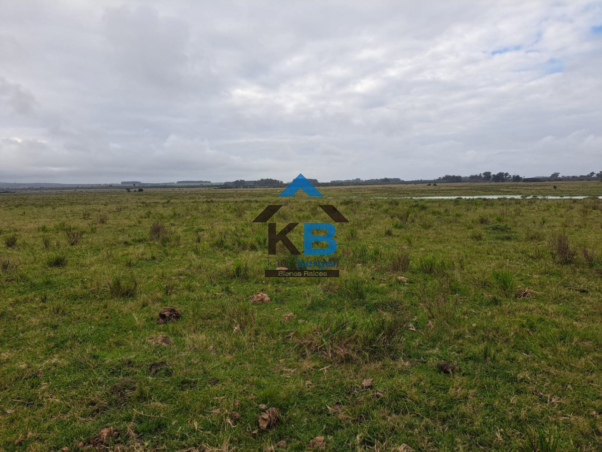 Campo Ref.623 - Campo agrícola ganadero 