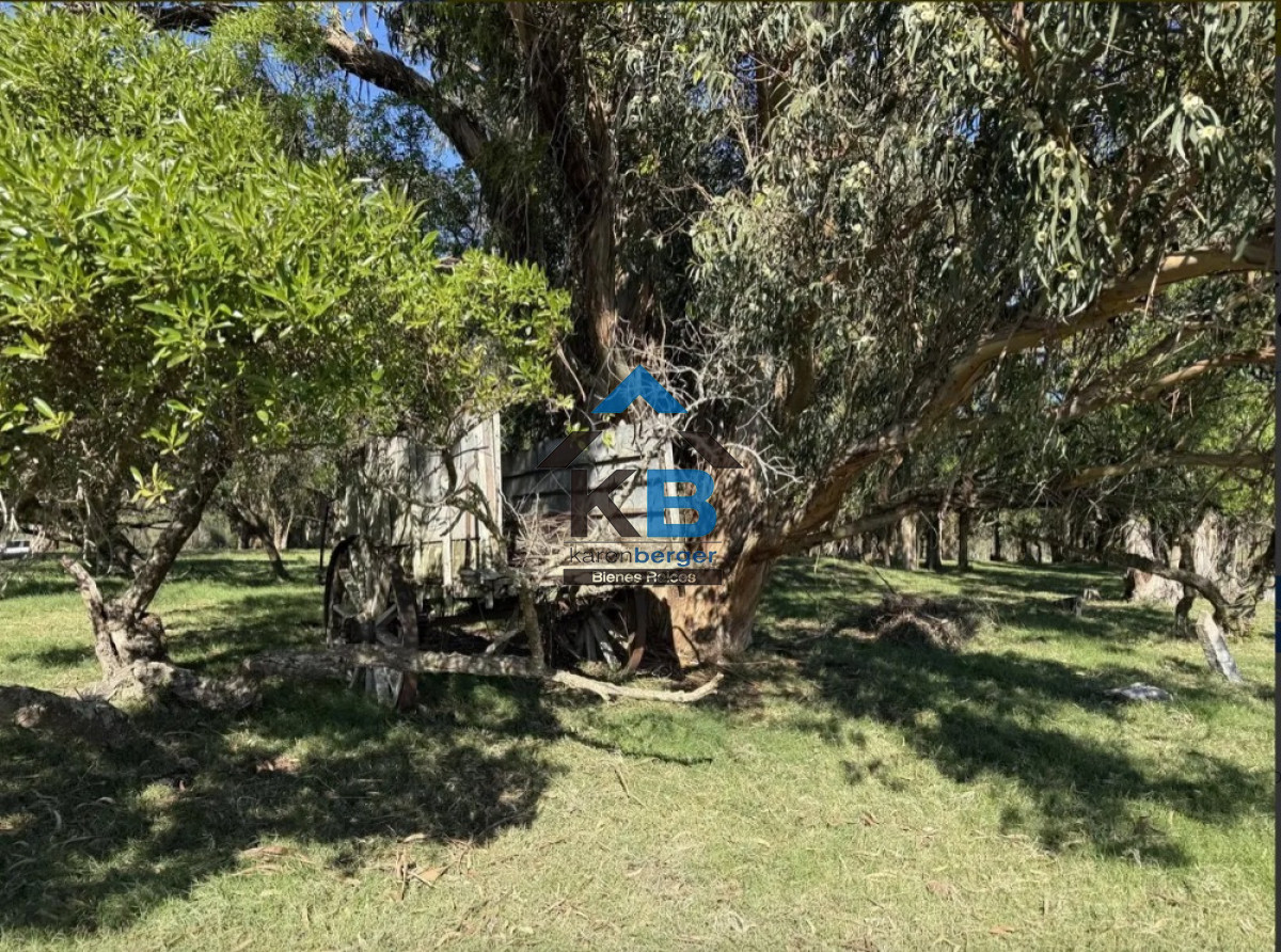 Campo Ref.677 - Venta campo José Ignacio 