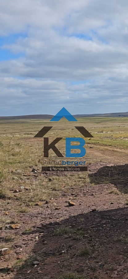 Campo Ref.670 - Campo en Tacuarembo vende