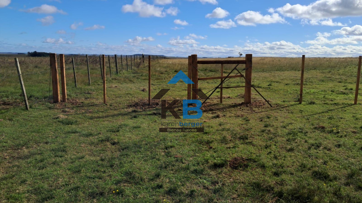 Campo Ref.580 - Venta de Campo en Paysandu 