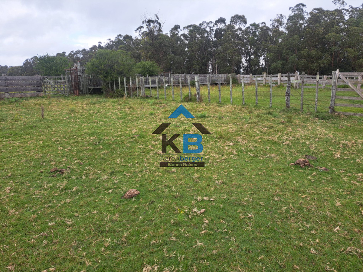 Campo Ref.623 - Campo agrícola ganadero 