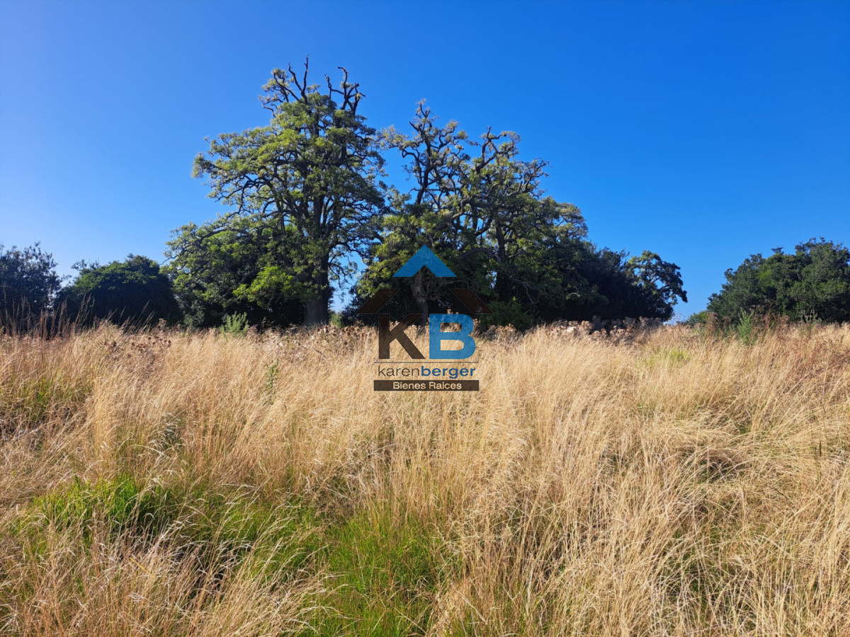 Campo Ref.625 - Campo José Ignacio 