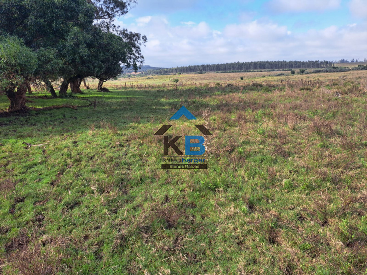 Campo Ref.634 - Venta campo José Ignacio 