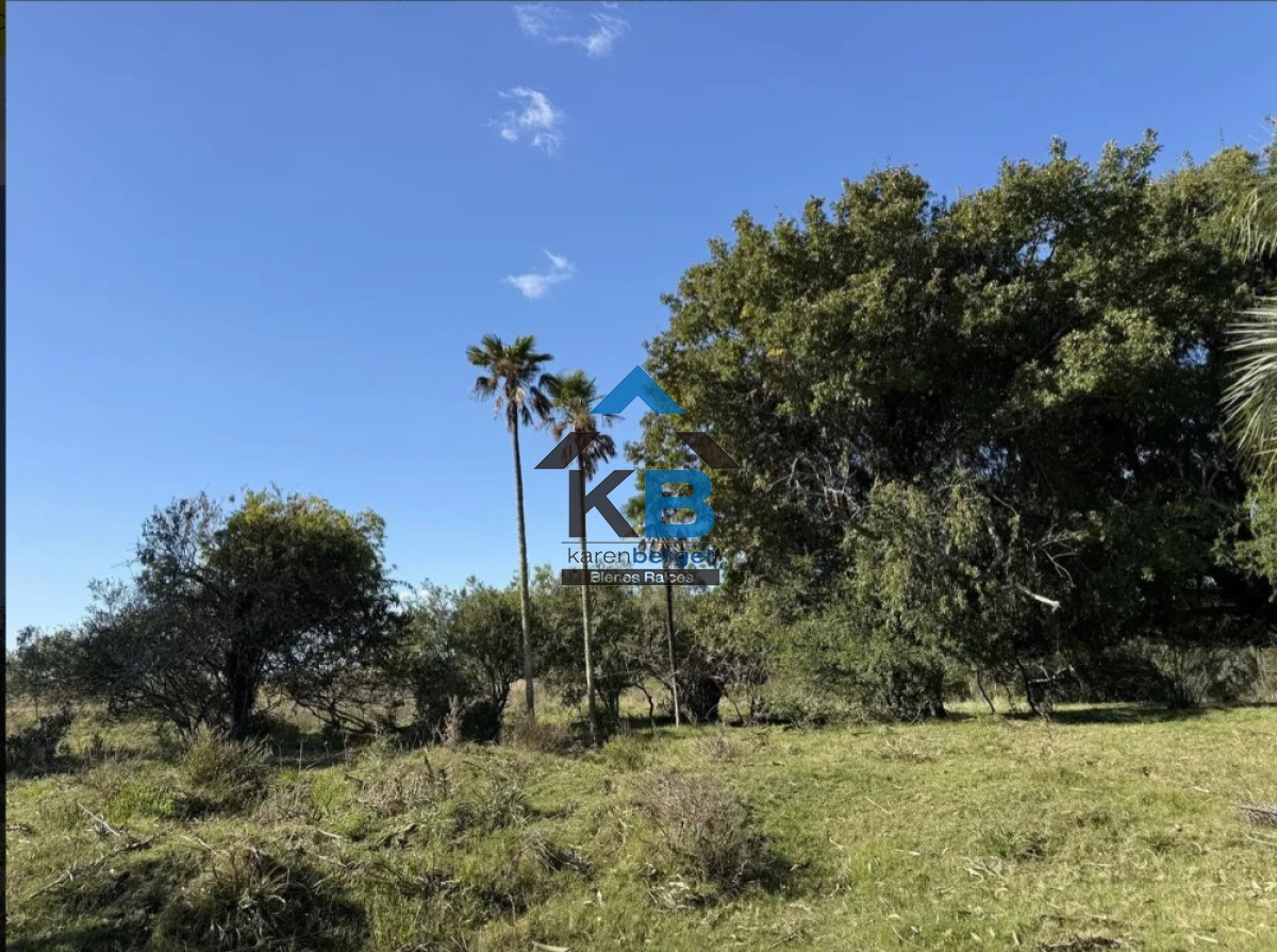Campo Ref.677 - Venta campo José Ignacio 