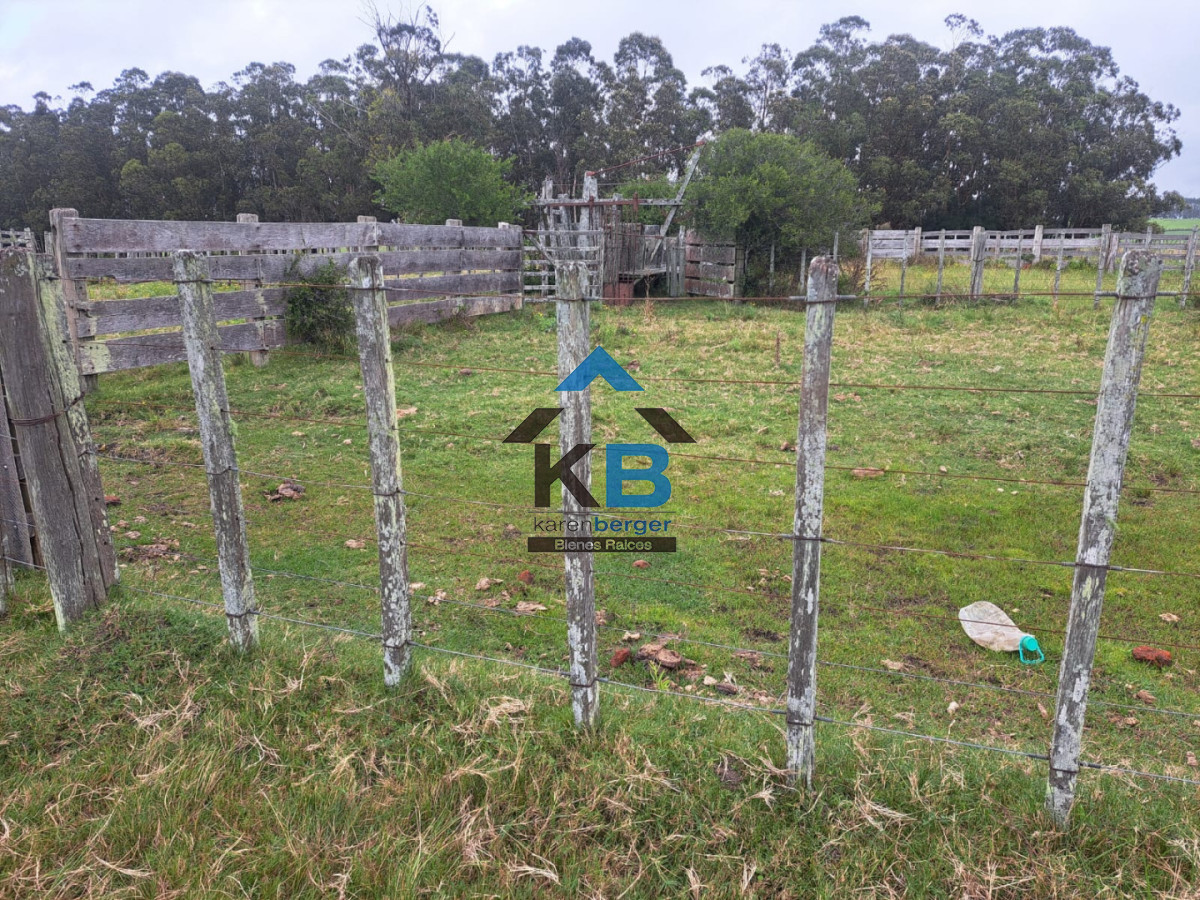 Campo Ref.623 - Campo agrícola ganadero 