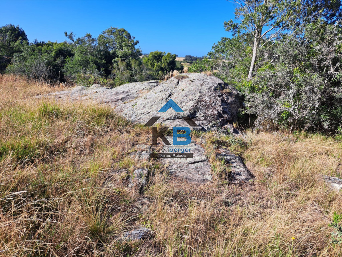 Campo Ref.625 - Campo José Ignacio 