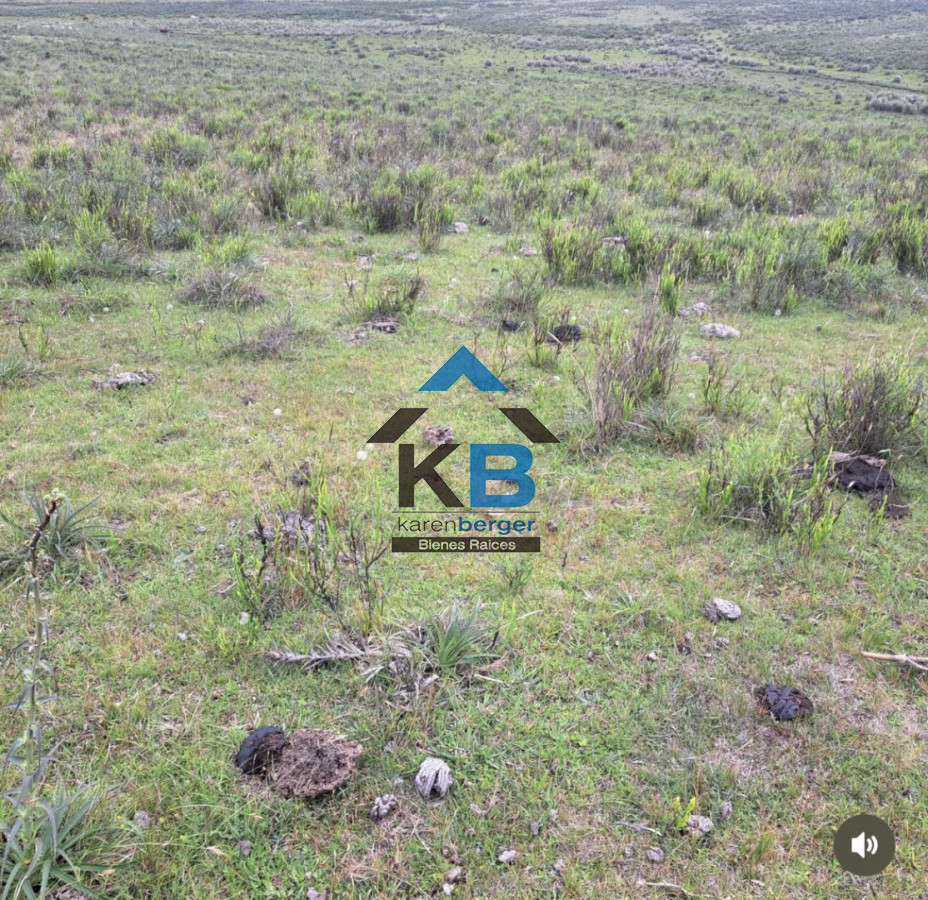 Campo Ref.628 - Vende campo 21 h José  Ignacio