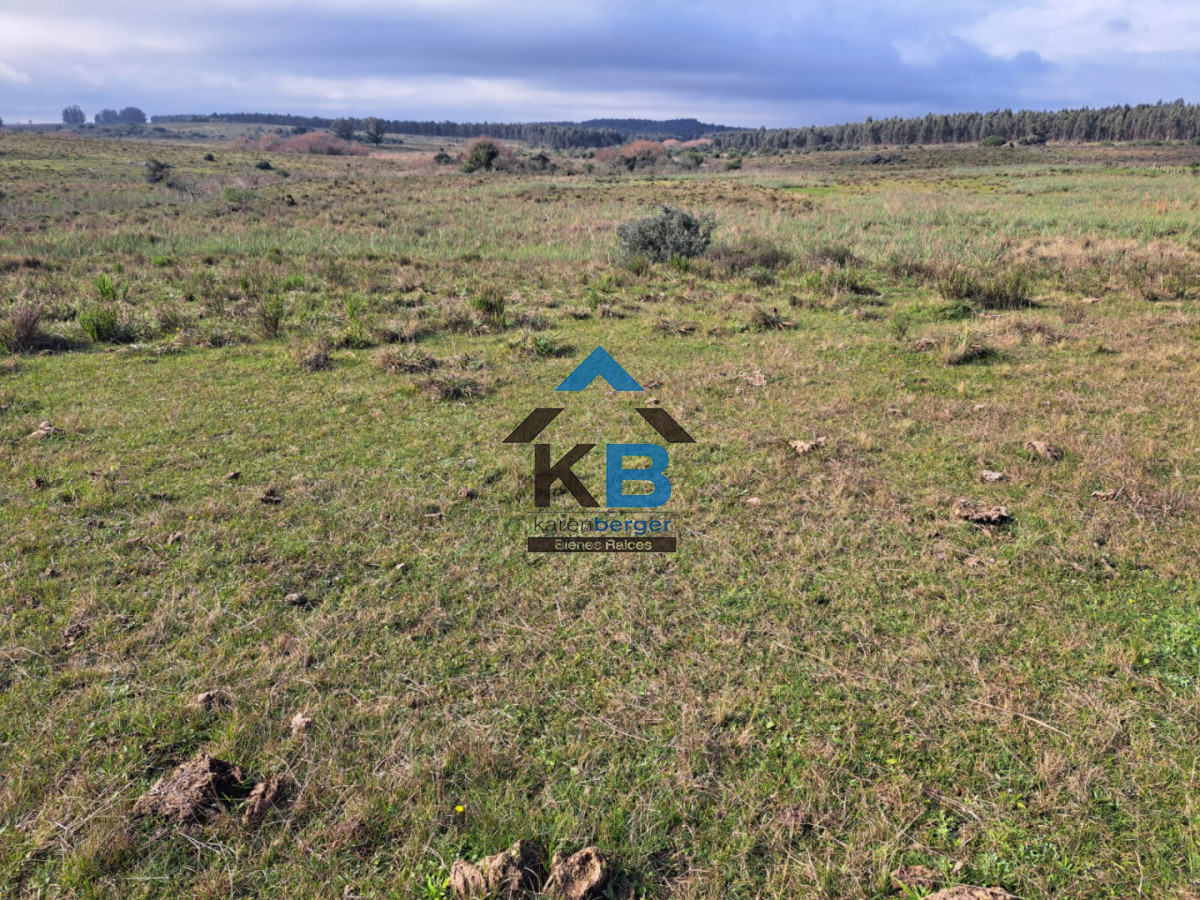 Campo Ref.634 - Venta campo José Ignacio 