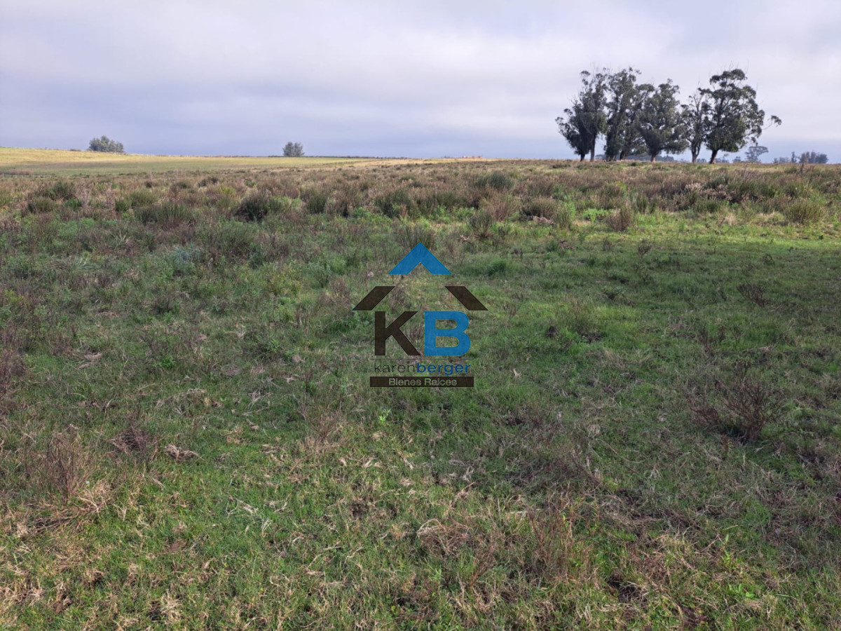 Campo Ref.634 - Venta campo José Ignacio 