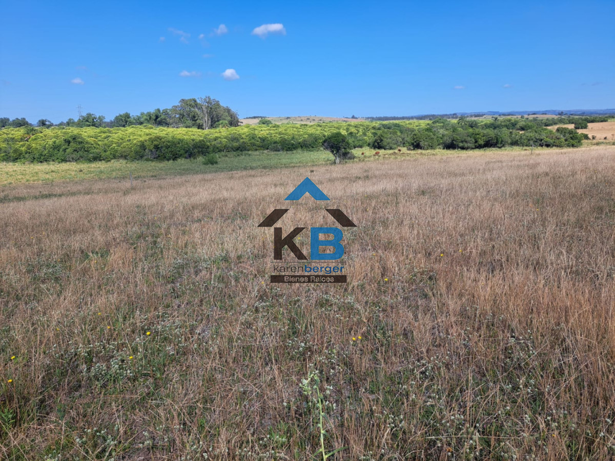 Campo Ref.620 - Venta de campo en Rocha