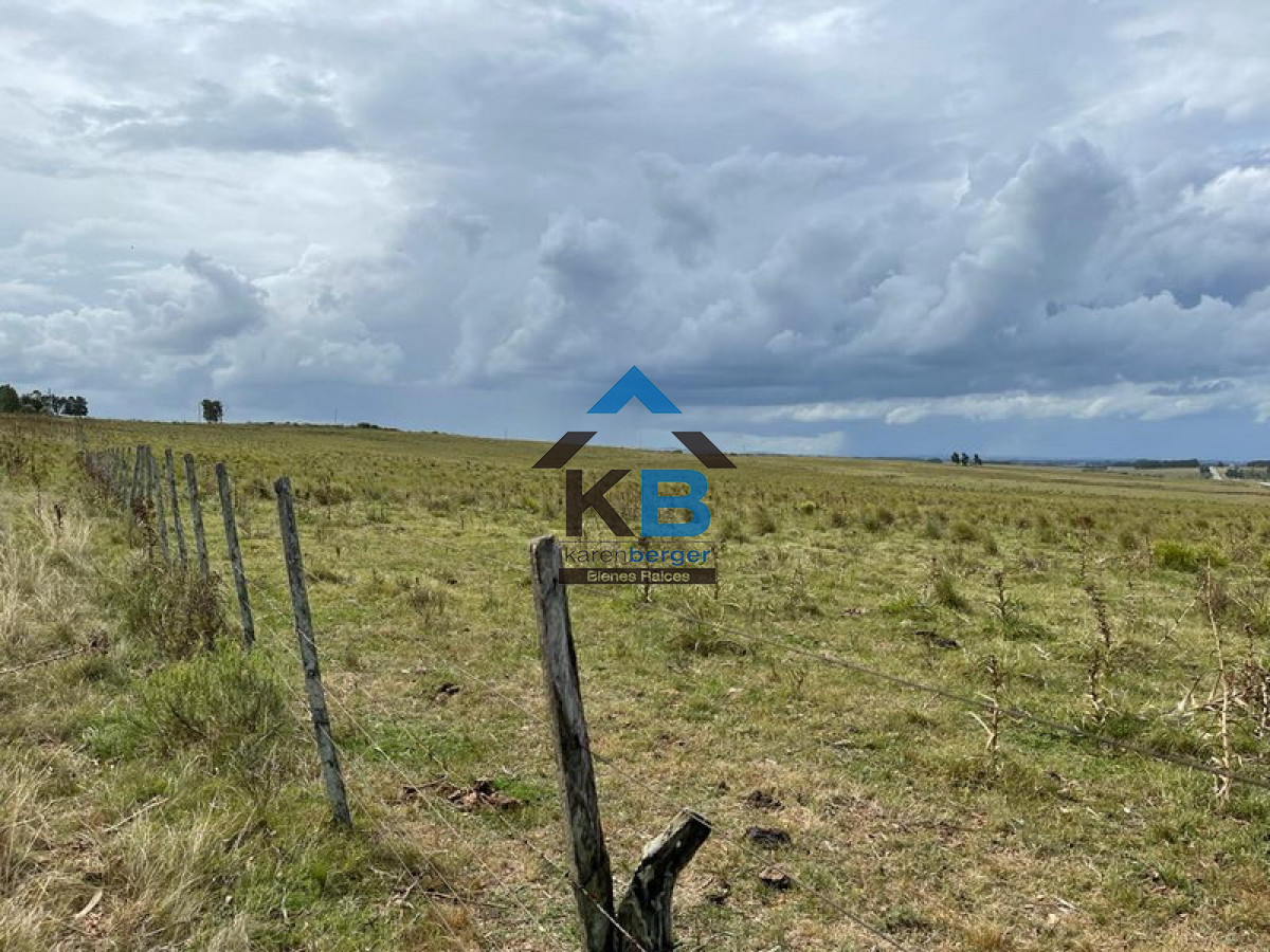 Campo Ref.418 - Campo en , 