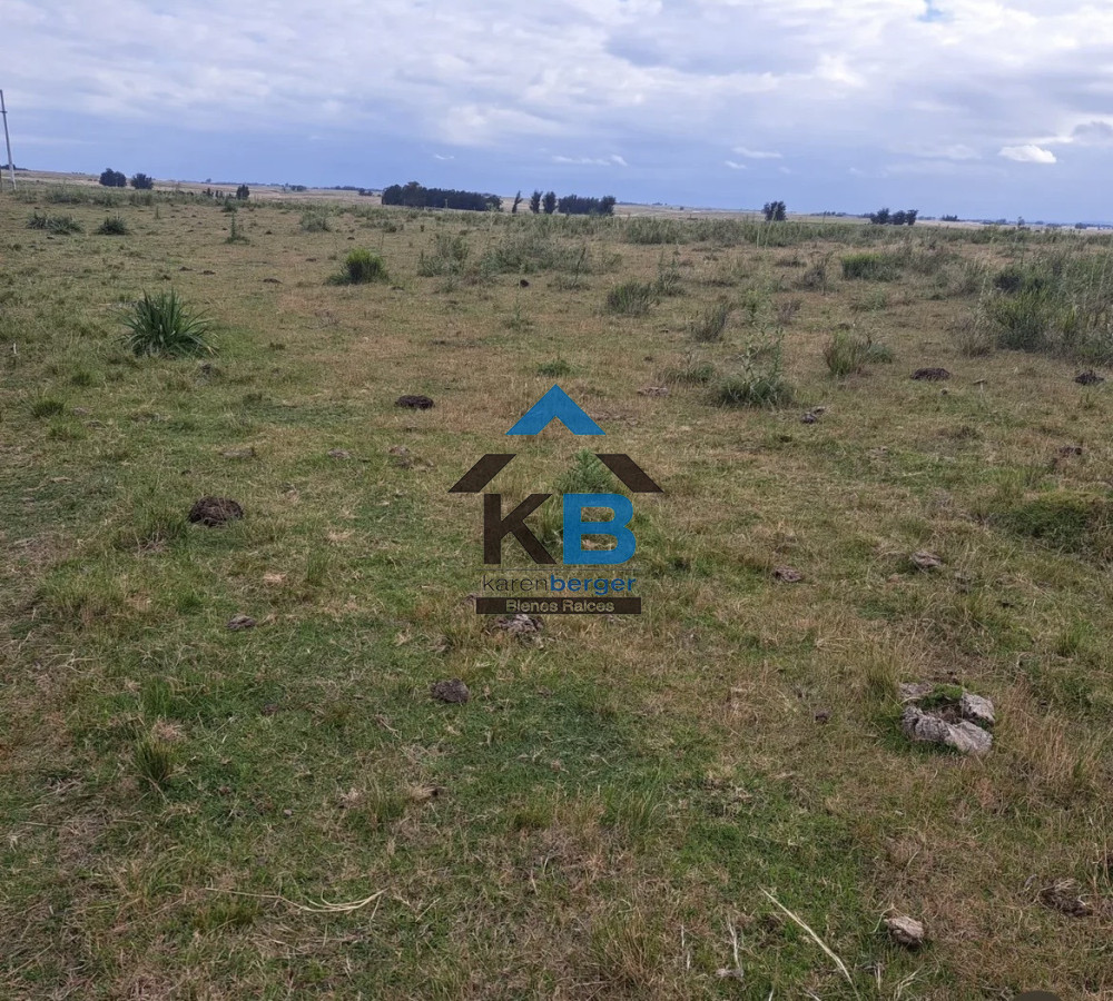 Campo Ref.628 - Vende campo 21 h José  Ignacio