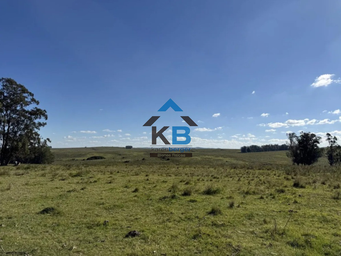Campo Ref.677 - Venta campo José Ignacio 
