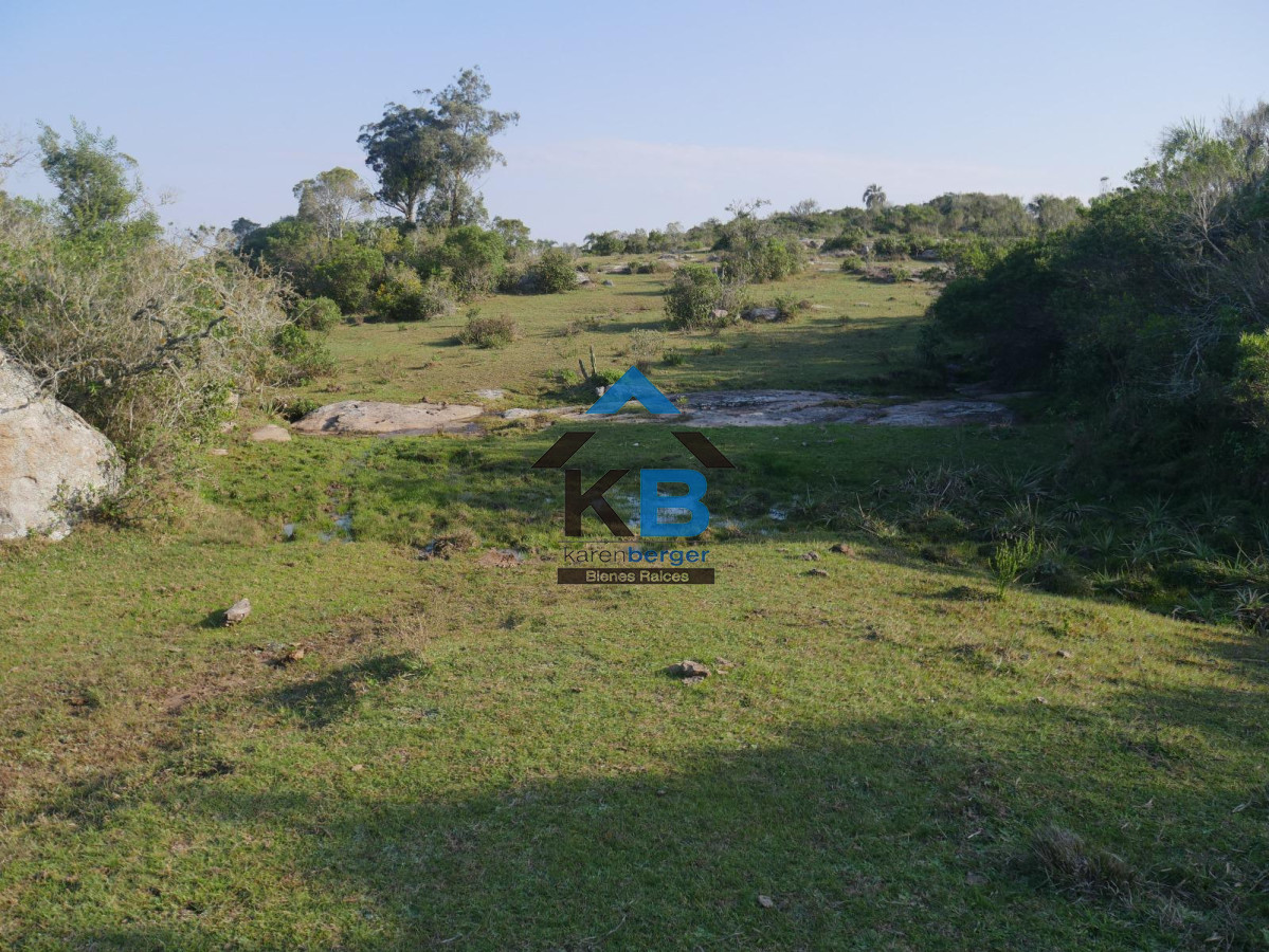 Campo Ref.586 - Campo en Castillos, 