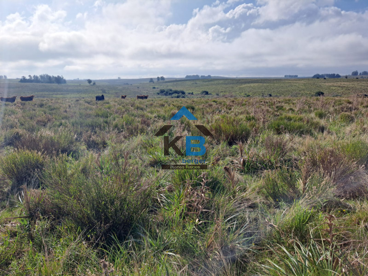 Campo Ref.634 - Venta campo José Ignacio 