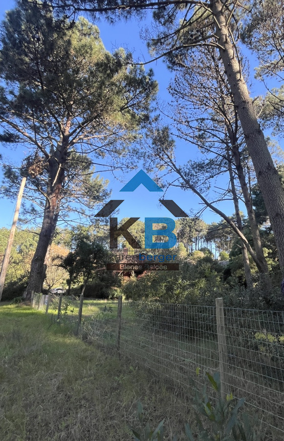 Terreno ID.393 - Terreno en Punta Ballena, Camino Lussich