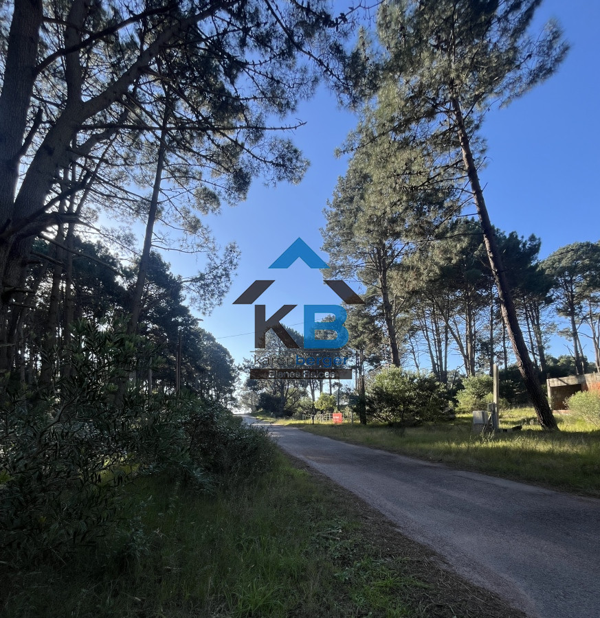 Terreno ID.393 - Terreno en Punta Ballena, Camino Lussich