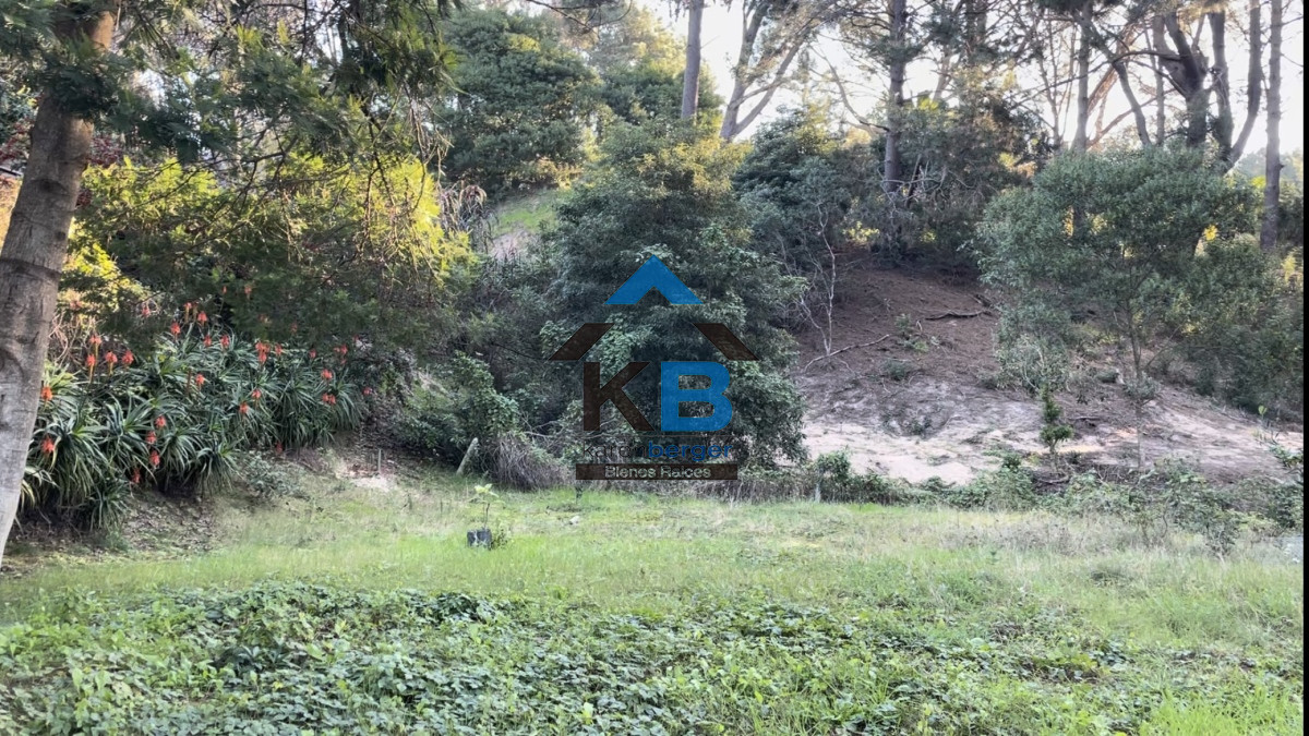 Terreno ID.393 - Terreno en Punta Ballena, Camino Lussich