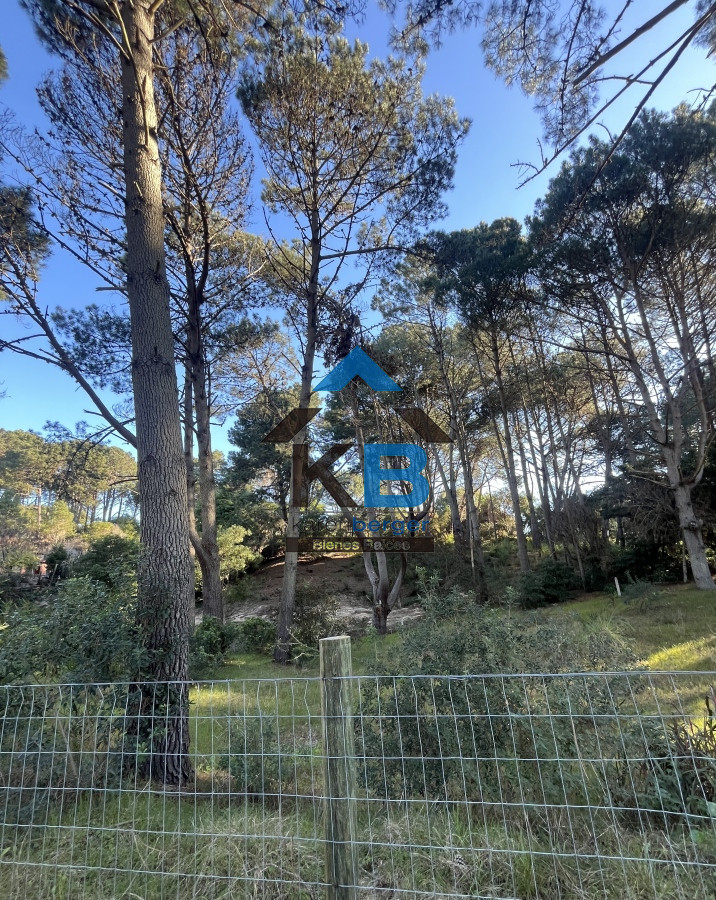 Terreno ID.393 - Terreno en Punta Ballena, Camino Lussich